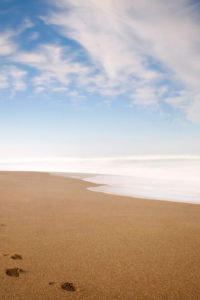 Footprints-In-The-Sand-Iphone-Panoramic-Wallpaper-HD-Pic