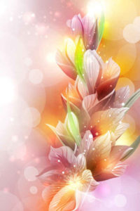 Pink-Flowers-with-Colorful-Background
