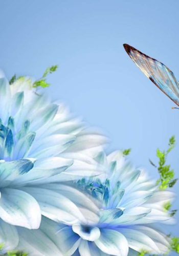 blueandwhiteflowerwallpaper-leephd-blue-and-white-flower-wallpaper-2
