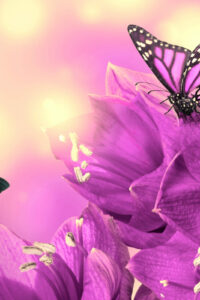 purple-flowers-butterflies-wide-1