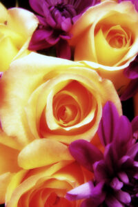 tea-wallpaper-desktop-background-yellow-and-purple-flowers_1600x1200_95333